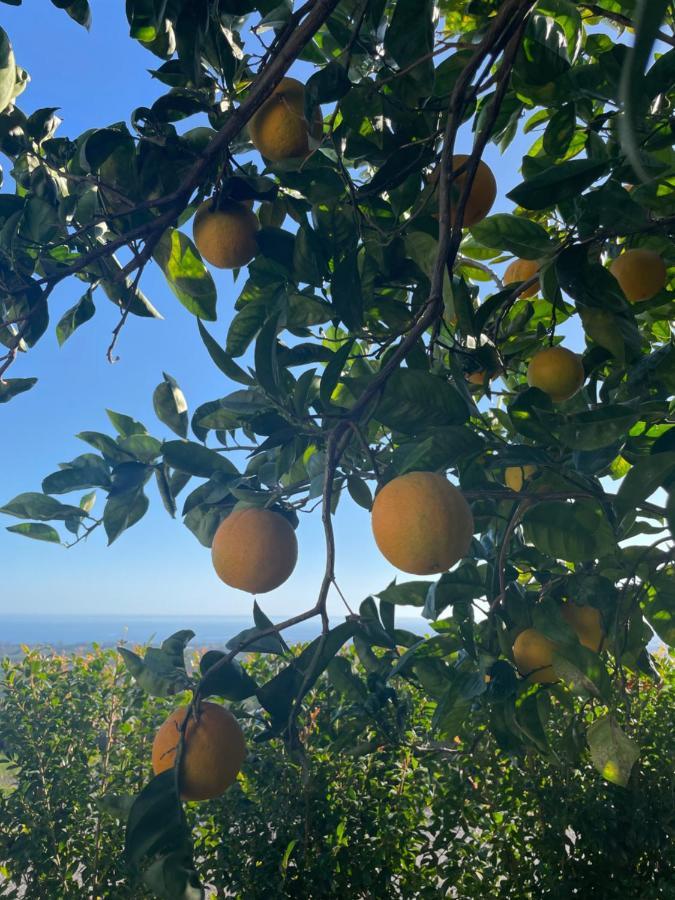 Profumo Di Zagara Villa Fiumefreddo di Sicilia Exterior foto